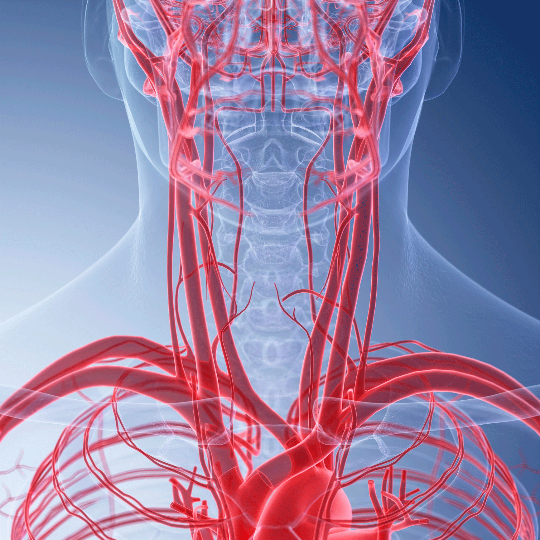 what-is-carotid-artery-disease-yourcareeverywhere