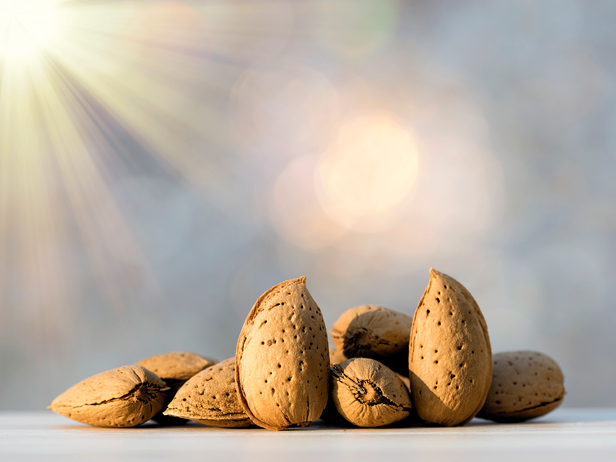 Do Almonds Promote Gut Health? YourCareEverywhere