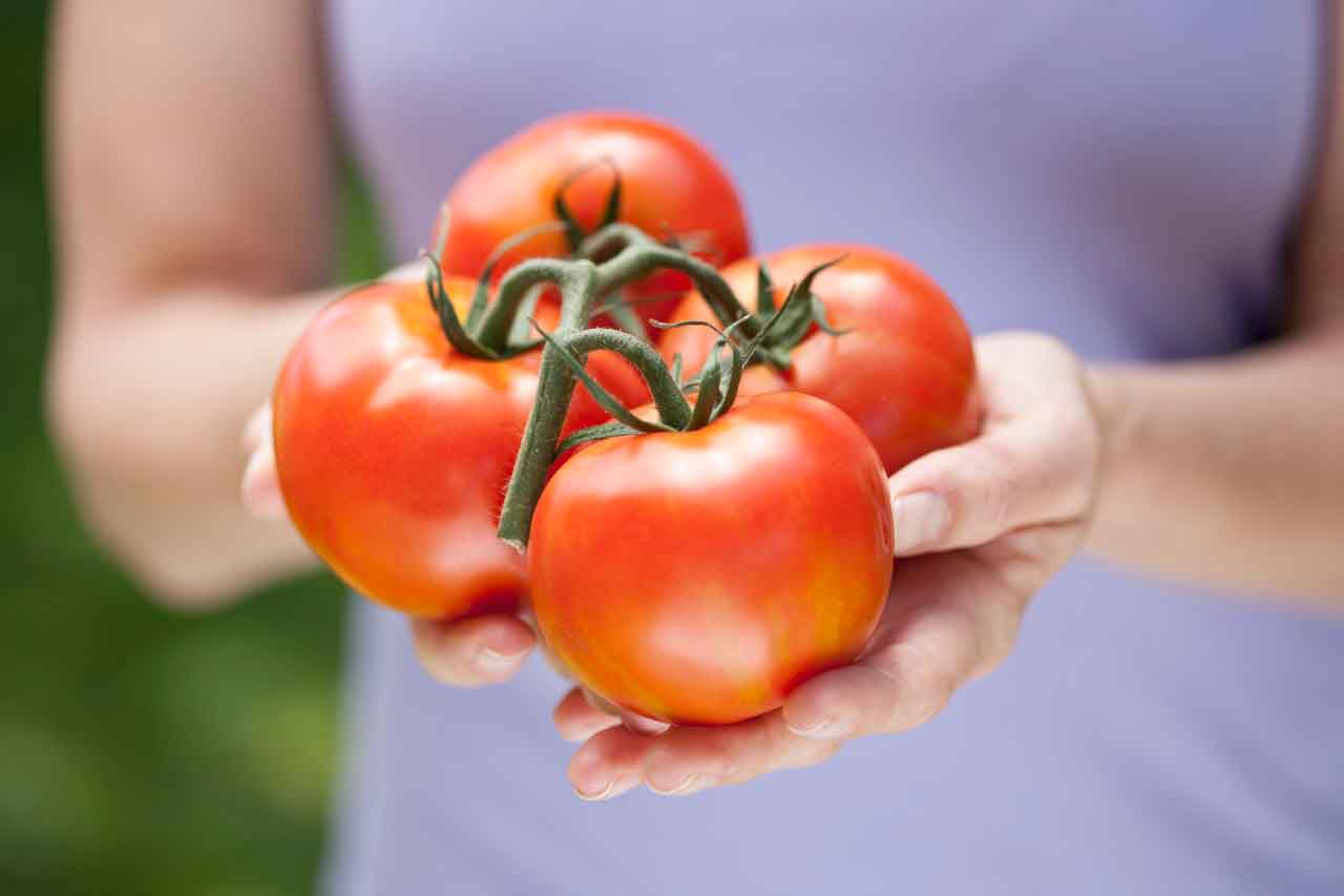 are-tomatoes-bad-for-arthritis-and-other-myths-yourcareeverywhere