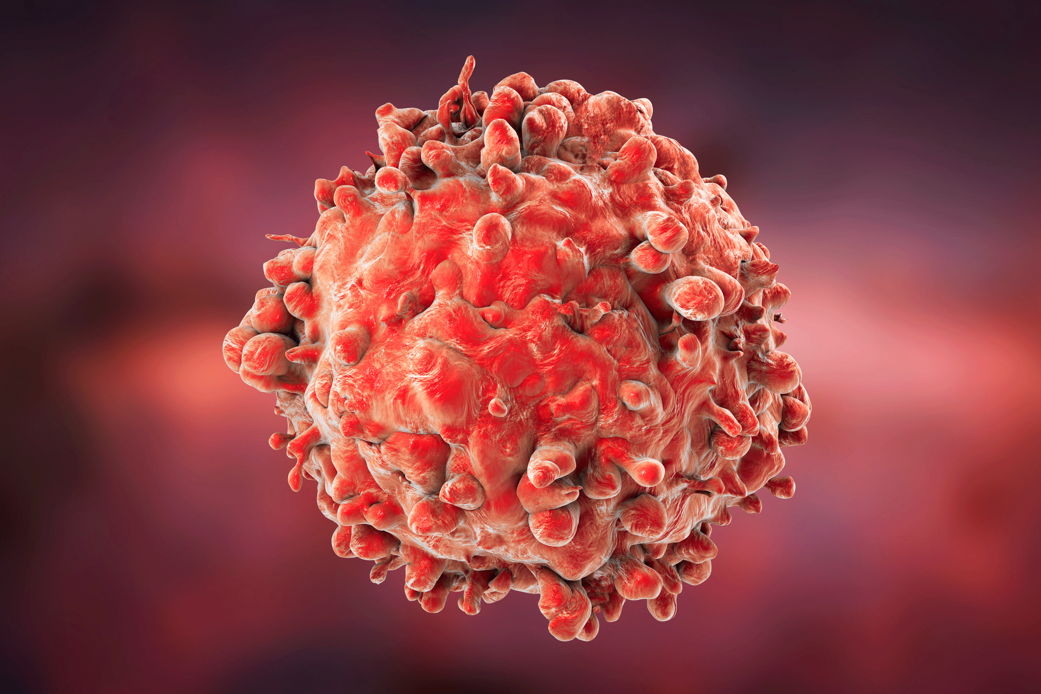 Leukemia And Neurocognitive Function: Insights From Research