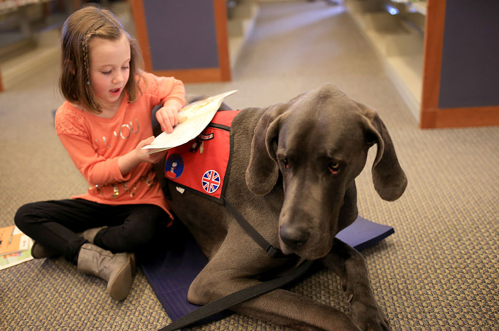 Therapy Dogs For Children With Special Needs YourCareEverywhere